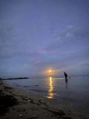 Sleep well- D4vd (cover)  