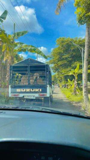 Embbeknya diem ajahh 😒😒