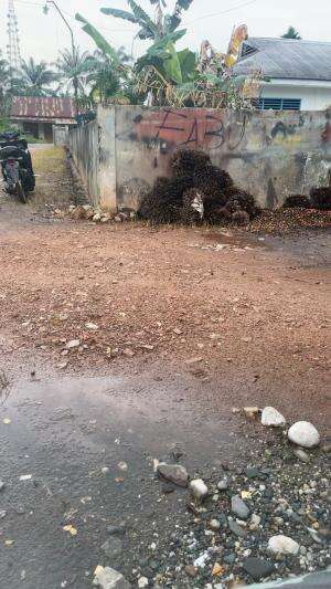 Hujan membawa berkah