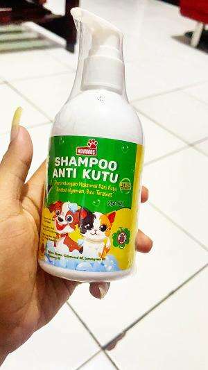 sampo kucing #sampokucing#fyp