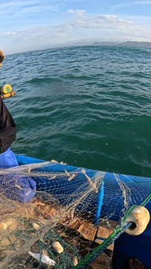 Menangkap udang jambu #udang #nelayan #laut