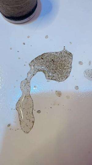 geli bgt ‼️ nemu kotoran kecil menggeliat di air kamar mandi ?