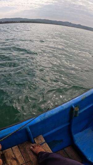 dapet keong laut dan kepiting kecil 🐌🦀