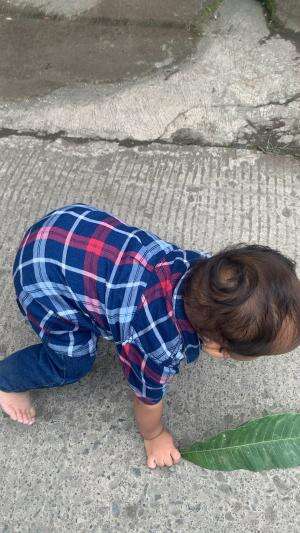 Seneng bgt megangin daun ?