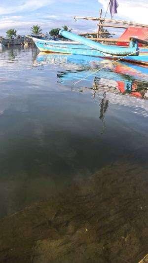 kurang gercep #udang #nelayan #laut #jaring #ikan #fbpro #reels #reelsviral #duniaikan #skils #fyp #trending