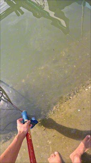 udang nya masuk sendiri? #udang #nelayan #laut #jaring #ikan #fbpro #reels #reelsviral #duniaikan #skils #fyp #trending