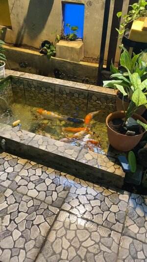 Santai sambil liat air hujan di teras rumah