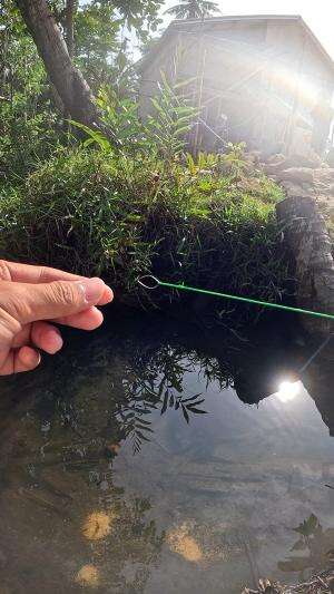I share a secret tutorial for catching shrimp #fishing #shrimp #fish #sea #traditional #usareels #UnitedStates #reelsviral #skils #fyp #tren