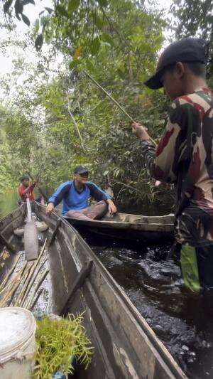 Jenguk banjur ikan