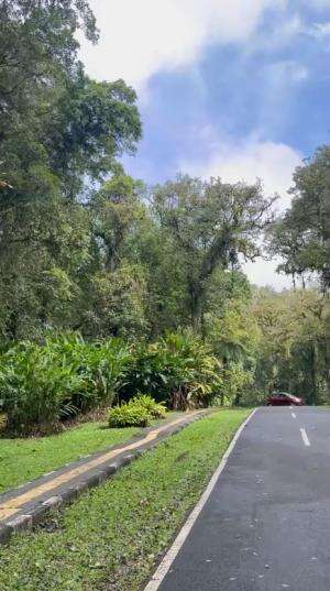 Indahnya pulau bali # Bedugul #wisatabali #bali 