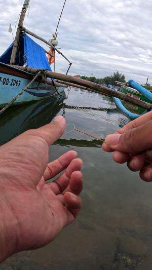 cara mancing udang #mancing #fishing #shrimp #udang #nelayan #laut #jaring #ikan #reelsviral #animals #skill #fyp #trending