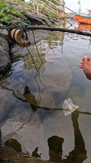cara lama menangkap udang #fishing #shrimp #fish #sea #traditional #usareels #UnitedStates #reelsviral #skils #fyp #trending