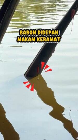 Babon Didepan Makam Keramat