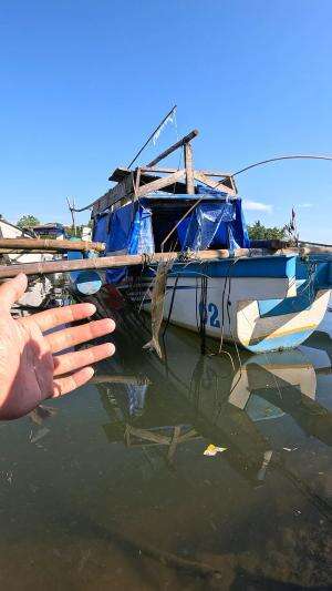 cara melepaskan udang #mancing #fishing #shrimp #udang #nelayan #laut #jaring #ikan #reelsviral #animals #skill #fyp #trending