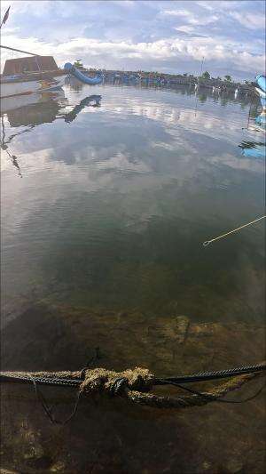 mode fokus 100% #udang #nelayan #laut #jaring #ikan #fbpro #reels #reelsviral #duniaikan #skils #fyp #trending