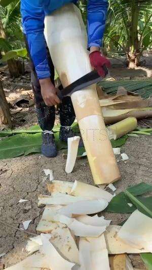 bagian dalam kelapa bisa di makan