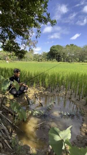 Mancing disumur