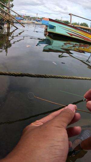 how to catch shrimp super fast and easy #fishing #traditional #usa #usareels #UnitedStates #unitedkingdom #denmark #canada