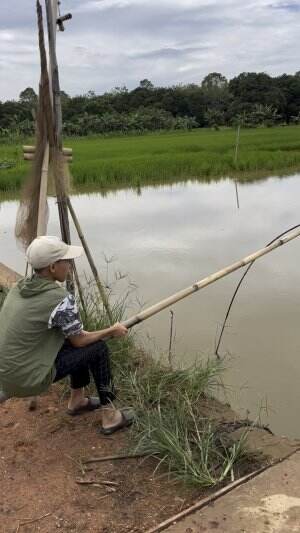 Ikan disini halin
