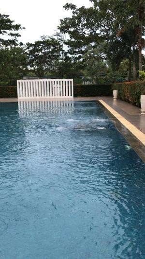 allahumma barik throwback hamil trimester pertama BM nya berenang.Moms disini siapa yang punya hobi sama saat hamil?Atau ada cerita lain?