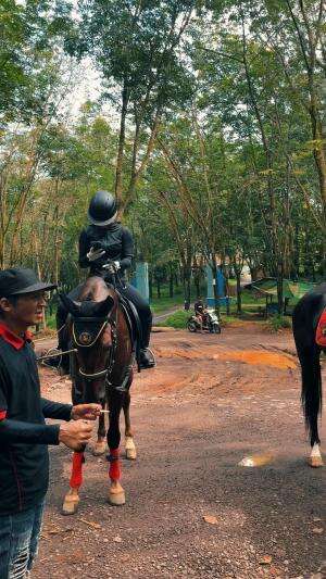 endurance hourse #endurancehourse#fyp