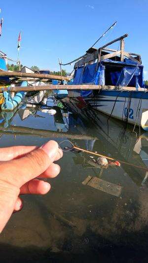 diam udang diam #mancing #fishing #shrimp #udang #nelayan #laut #jaring #ikan #reelsviral #animals #skill #fyp #trending