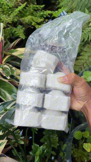 Garam buat kolam ikan kok bisa