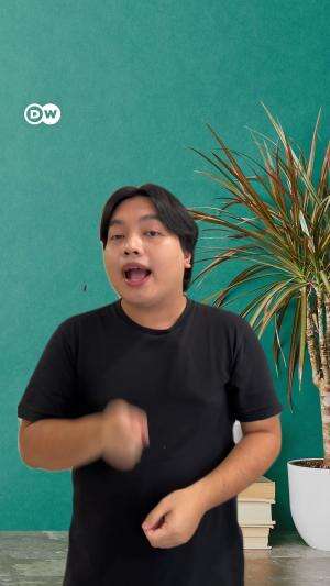 Bagaimana lalat memakan makananmu