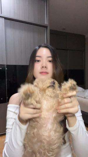 Hihihi