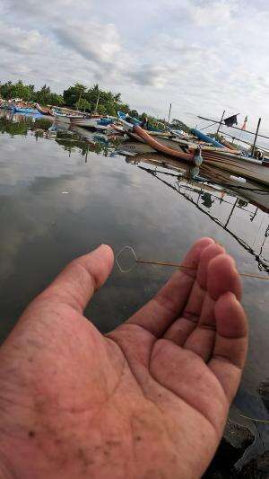 tutorial mancing dari kakek#fishing #shrimp #fish #sea #traditional #usareels #UnitedStates #reelsviral #skils #fyp #trending