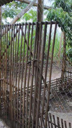 Mengabarkan Hujan Sedikit Berangin 