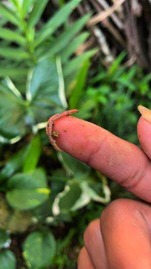 Mancing ikan cuma bawa satu umpan
