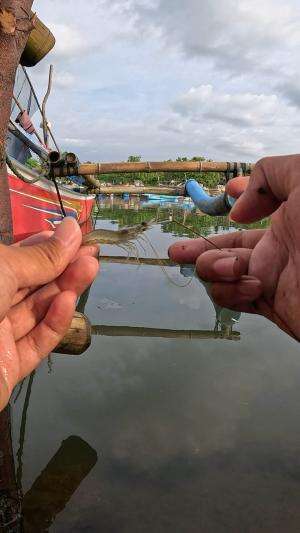 teknik mancing udang #mancing #fishing #shrimp #udang #nelayan #laut #jaring #ikan #reelsviral #animals #skill #fyp #trending