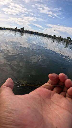 sederhana tapi ampuh #udang #nelayan #laut #jaring #ikan #fbpro #reels #reelsviral #duniaikan #skils #fyp #trending