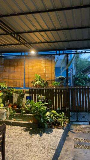 Hujan angin  dahsyat akhir tahun menuju awal tahun 2025