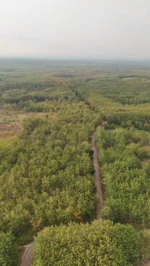 Hutan Bojonegoro masih padat dan Asri banget ya lurrrr 😂🤭 #drone #dji #hutan #jati #bojonegoro #jedamergawe #fyp #capcut  #RCTIPlus  #HOTrct