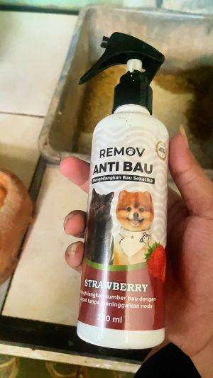 remov anti bau #fyp #removantibau