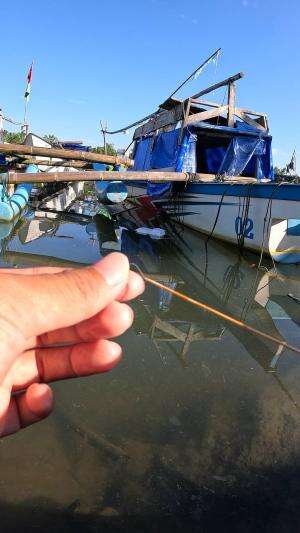 diam kamu udang biar saya pancing? #fishing #traditional #usa #usareels #UnitedStates #unitedkingdom #denmark #canada