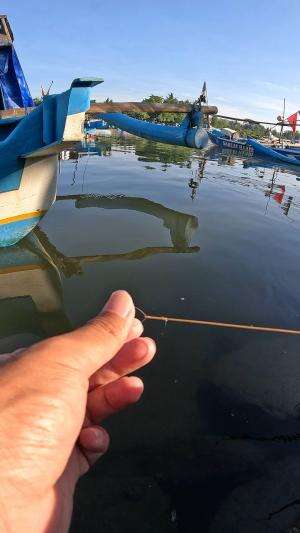 diam kamu udang #mancing #fishing #shrimp #udang #nelayan #laut #jaring #ikan #reelsviral #animals #skill #fyp #trending
