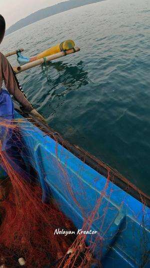 menangkap udang  #viral