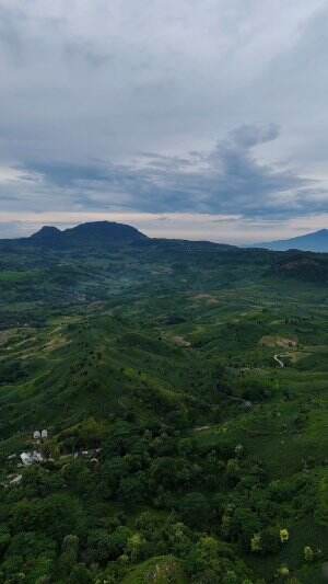 Keindahan alam dan bumi bojonegoro cakep banget pokok nya hehehe #drone #dji #djimini4pro #video #videoviral  #Bojonegoro  #bojonegorohits #