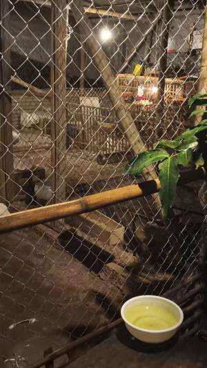 Tempatmu sudah diguyur hujan brlum bollo? Sore tadi alhamdulillah sudah hujan jadi sedikit adem syahdu