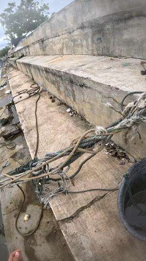 sulit ditangkap nih udang🤭#udang #nelayan #laut #jaring #ikan #fbpro #reels #reelsviral #duniaikan #skils #fyp #trending