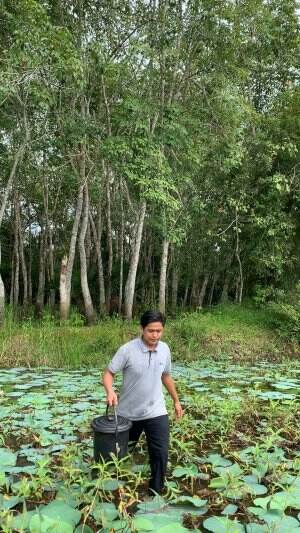 Jenguk jebak lukah kesiangan