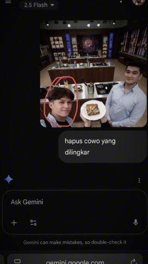 pala buntung gara2 gemini AI