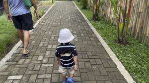 Seneng bangeet liat monyeet hehe