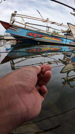 mancing dapatnya udang kecil #mancing #fishing #shrimp #udang #nelayan #laut #jaring #ikan #reelsviral #animals #skill #fyp #trending