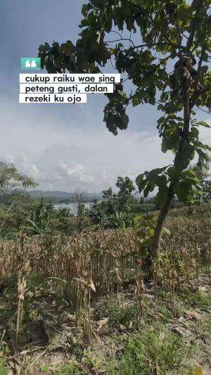 Gustiiiiii dalam rejeki ku ojok sampek peteng hehhehee aminnn #quotes  #motivasi #kerja #kerjakeras #semangat #gigih #sukses #jedamergawe #f