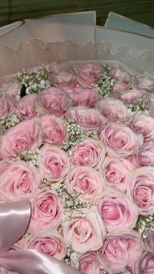 My best bday gift??