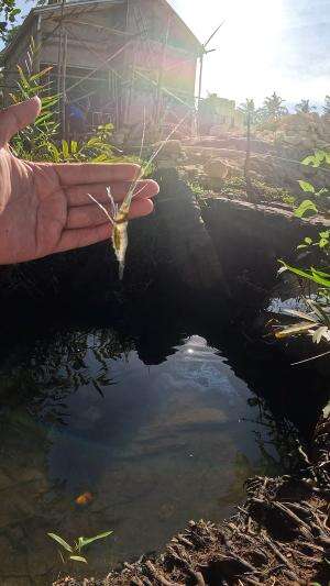 cara yang sangat tradisional ??? #fishing #shrimp #traditional #usa #usareels #UnitedStates #unitedkingdom #denmark #canada